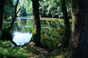 Impressions from Nationalpark Drawa / Drawieński Park Narodowy #53, Nationalpark Drawa / Drawieński Park Narodowy, August 2015