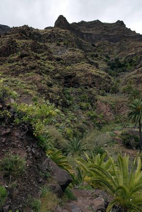 Impressions from La Gomera #1, La Gomera, März 2011