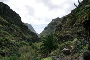 Impressions from La Gomera #4, La Gomera, März 2011