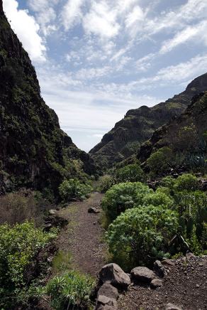 Impressions from La Gomera #13, La Gomera, März 2011