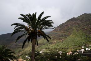 Impressions from La Gomera #19, La Gomera, März 2011