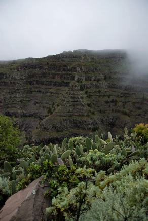 Impressions from La Gomera #32, La Gomera, März 2011
