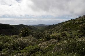 Impressions from La Gomera #59, La Gomera, März 2011
