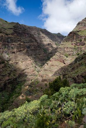 Impressions from La Gomera #68, La Gomera, März 2011