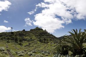 Impressions from La Gomera #70, La Gomera, März 2011