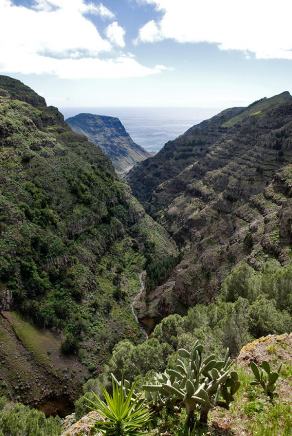 Impressions from La Gomera #72, La Gomera, März 2011
