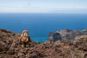Impressions from La Gomera #73, La Gomera, März 2011