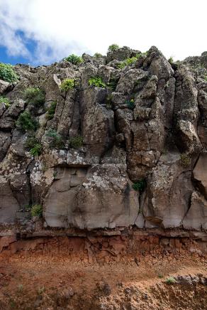 Impressions from La Gomera #75, La Gomera, März 2011
