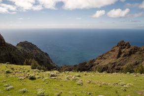 Impressions from La Gomera #76, La Gomera, März 2011