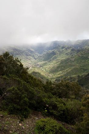Impressions from La Gomera #82, La Gomera, März 2011