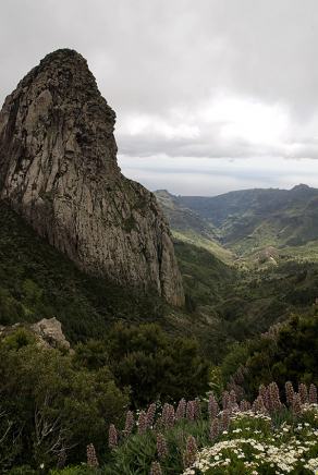 Impressions from La Gomera #84, La Gomera, März 2011