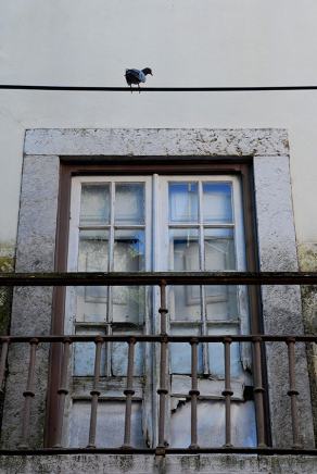 Impressions from Lissabon / Peniche #18, Lissabon / Peniche, September 2014