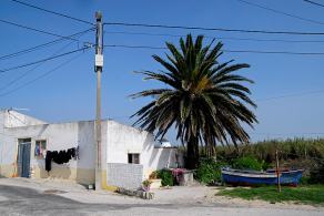 Impressions from Lissabon / Peniche #97, Lissabon / Peniche, September 2014