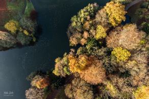 Herbstimpressionen aus Bochum #3, Bochum, November 2021