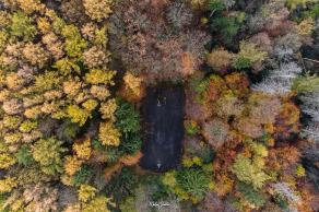 Vormholzer Wald #1, Witten, November 2021