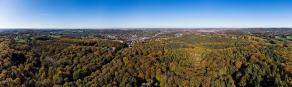Vormholzer Wald #4, Witten, November 2021