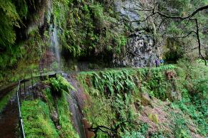 Impressions from Madeira #7, Madeira, März 2015