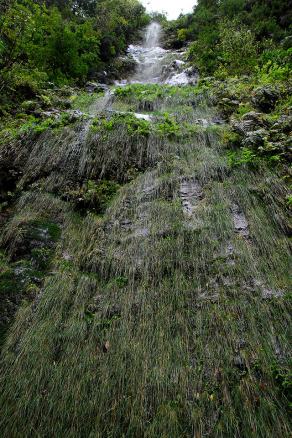 Impressions from Madeira #10, Madeira, März 2015