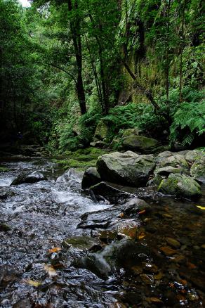 Impressions from Madeira #11, Madeira, März 2015