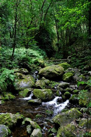 Impressions from Madeira #13, Madeira, März 2015