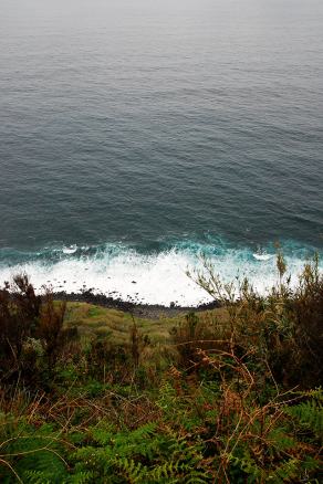 Impressions from Madeira #19, Madeira, März 2015