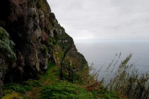 Impressions from Madeira #20, Madeira, März 2015