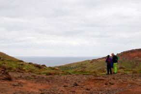 Impressions from Madeira #35, Madeira, März 2015