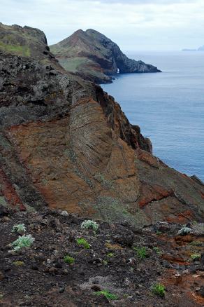 Impressions from Madeira #38, Madeira, März 2015