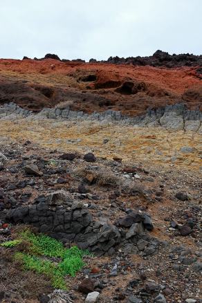 Impressions from Madeira #39, Madeira, März 2015