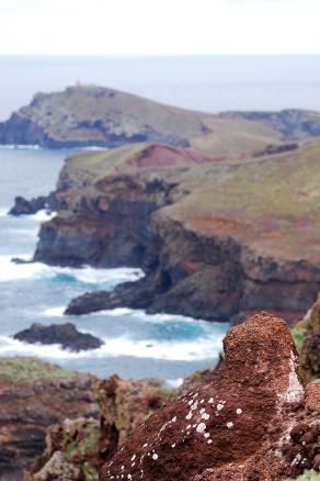 Impressions from Madeira #51, Madeira, März 2015