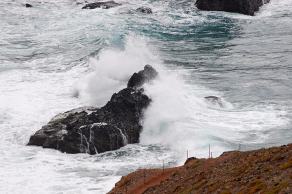 Impressions from Madeira #63, Madeira, März 2015