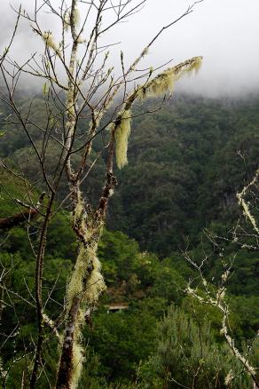 Impressions from Madeira #91, Madeira, März 2015