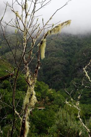 Impressions from Madeira #91, Madeira, März 2015