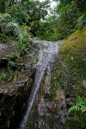 Impressions from Madeira #92, Madeira, März 2015