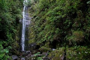 Impressions from Madeira #96, Madeira, März 2015