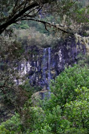 Impressions from Madeira #101, Madeira, März 2015