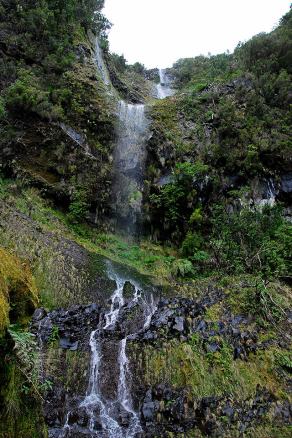 Impressions from Madeira #104, Madeira, März 2015