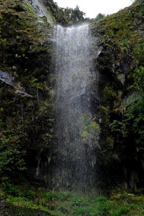 Impressions from Madeira #105, Madeira, März 2015