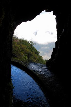 Impressions from Madeira #111, Madeira, März 2015