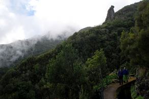 Impressions from Madeira #114, Madeira, März 2015