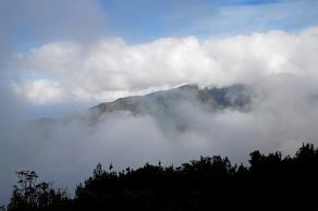 Impressions from Madeira #115, Madeira, März 2015