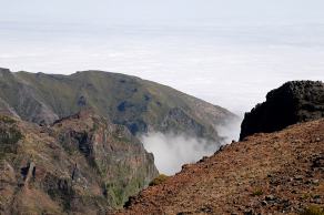 Impressions from Madeira #120, Madeira, März 2015