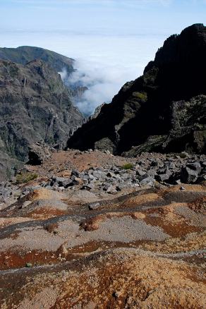 Impressions from Madeira #124, Madeira, März 2015