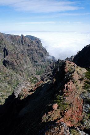 Impressions from Madeira #128, Madeira, März 2015