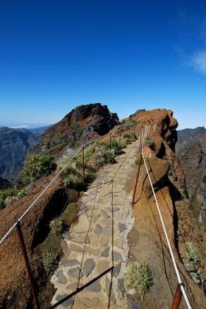 Impressions from Madeira #131, Madeira, März 2015