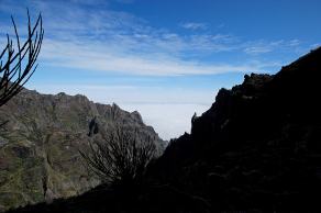 Impressions from Madeira #137, Madeira, März 2015