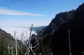 Impressions from Madeira #144, Madeira, März 2015