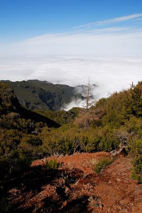 Impressions from Madeira #159, Madeira, März 2015