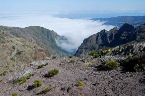 Impressions from Madeira #163, Madeira, März 2015