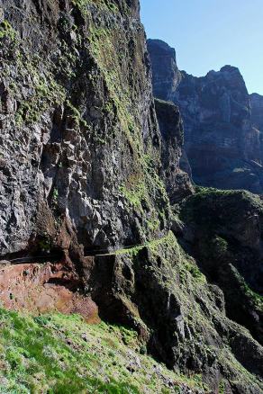 Impressions from Madeira #175, Madeira, März 2015